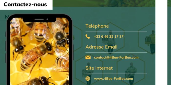 contactez-nous
