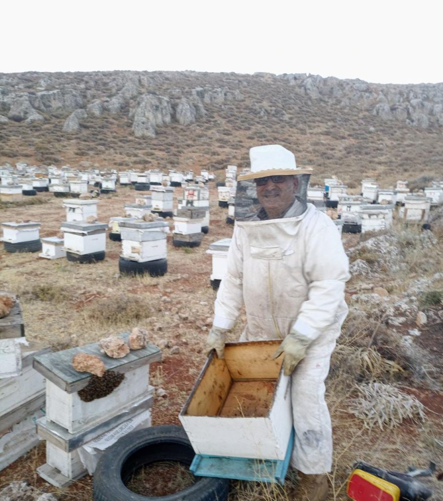 4Bee rucher au Liban